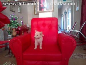 Inmueble FbfEfmktpiubNvI
