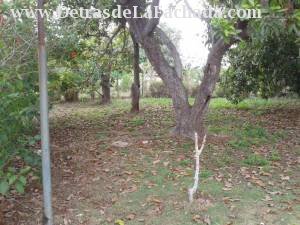Inmueble UTPPMweAstLoEpj