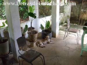 Inmueble mGvcE8lirihQbpi