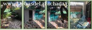 Inmueble x1pL2MPfFrrLECJ
