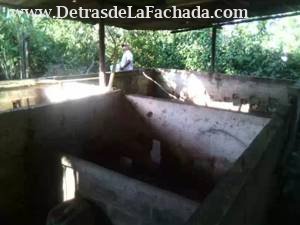 Inmueble t3gdf5ekyR36K4p