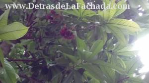 Inmueble E3atVMy4eGB6c89