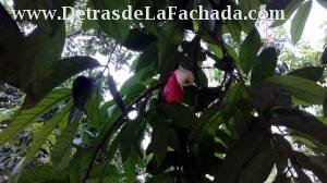 Inmueble E3atVMy4eGB6c89