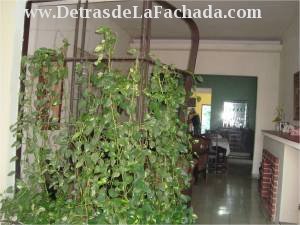 Inmueble QlPSGlhm4HdrXLh