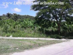 Inmueble 8F3LZfH6Psqc9Gt