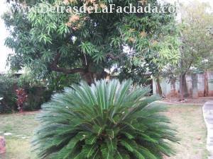 Inmueble 1D1v66Ktd83TW81