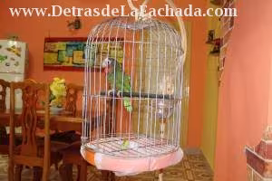 Inmueble eULMSvpBs4J2ZYA