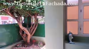 Inmueble pGKQrHWDu4R3GyT