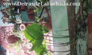 Inmueble VSLJQgaUzxnfyQv