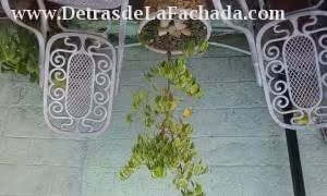 Inmueble VSLJQgaUzxnfyQv