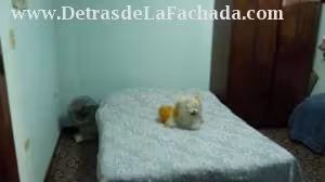 Inmueble OhFJBKlElCwOMlR