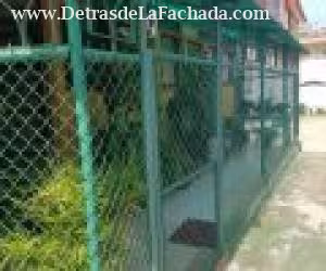 Inmueble 7t7JlLce5tVM9Ca