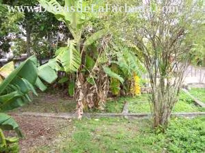Inmueble 3FDkf1QU53WS2Pl