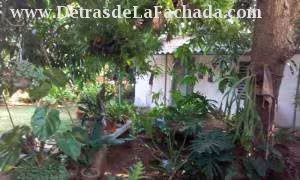Inmueble 3CfE2c3rLhToRxM