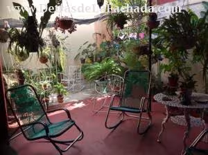 Inmueble amyUkg31nULfS16