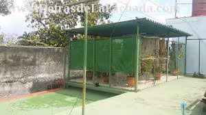 Inmueble PFeDnxWVlM3zZnD