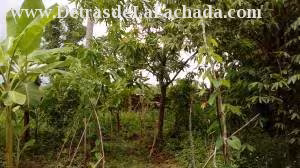 Inmueble E3atVMy4eGB6c89