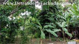 Inmueble E3atVMy4eGB6c89