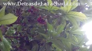 Inmueble E3atVMy4eGB6c89