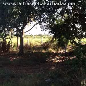 Inmueble NY1xK74AByFKcmA
