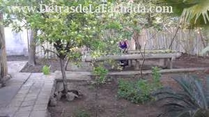 Inmueble Ddftf3s5s6tx4UM